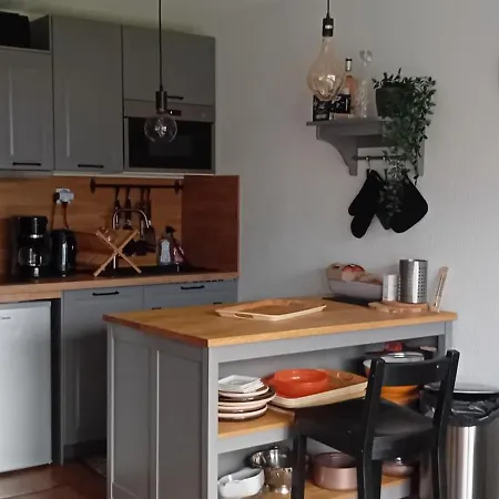 Superbe Face Au Du Bourget Avec Terrasse Curistes Ou Couples Aix-les-Bains