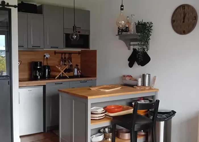 Superbe Face Au Du Bourget Avec Terrasse Curistes Ou Couples Aix-les-Bains